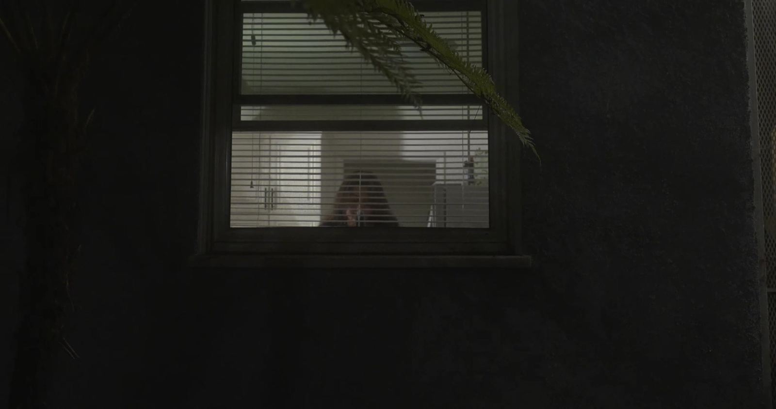 Surveil, still 3 of 5